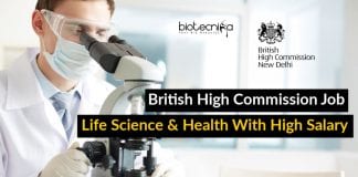 British High Commission Job