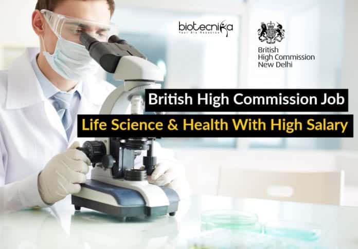 British High Commission Job