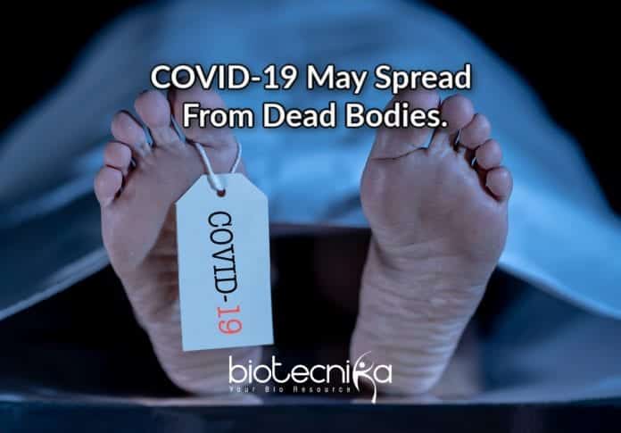 COVID-19 may spread from dead bodies