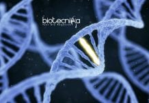 CURAJ BSc / MSc Biotech / Microbiology Research Posts Vacant CURAJ BSc