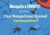 Can Mosquitoes Transmit COVID-19? Can Mosquitoes Spread Coronavirus