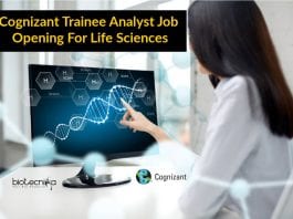 Cognizant Trainee Analyst