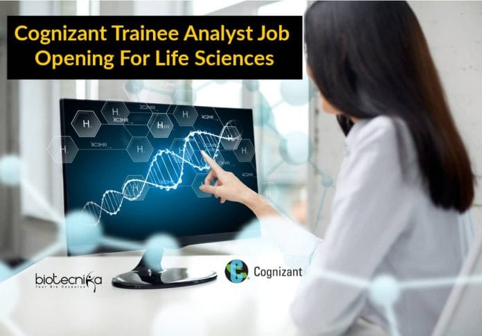 Cognizant Trainee Analyst