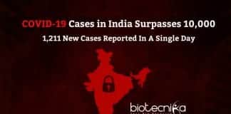 Coronavirus Cases in India