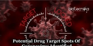 Coronavirus Drug Target Spots