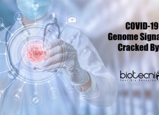 COVID-19 Genome Signature Cracked Using AI Covid19 Genome Signature by AI
