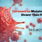Covid19 Mutates Slower Than The Flu