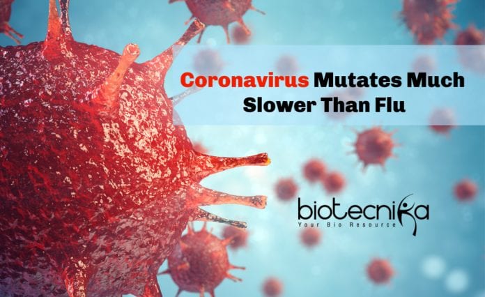Covid19 Mutates Slower Than The Flu
