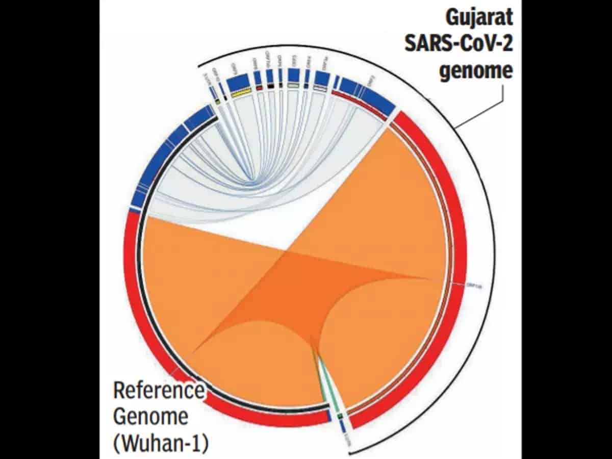 GBRC Decodes Genome Sequence