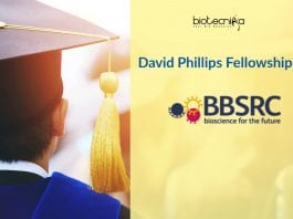 David Phillips Fellowship (DPF)