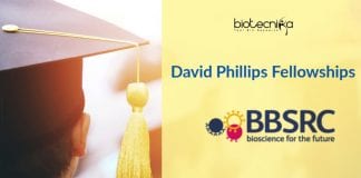 David Phillips Fellowship (DPF)