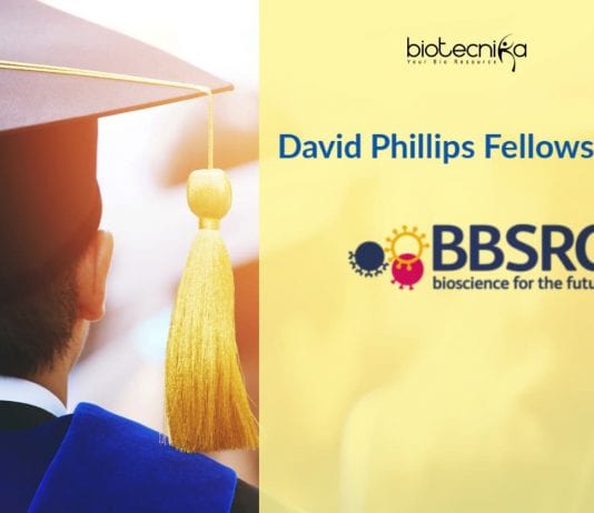 David Phillips Fellowship (DPF)