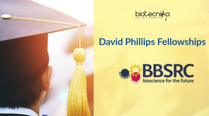 David Phillips Fellowship (DPF)