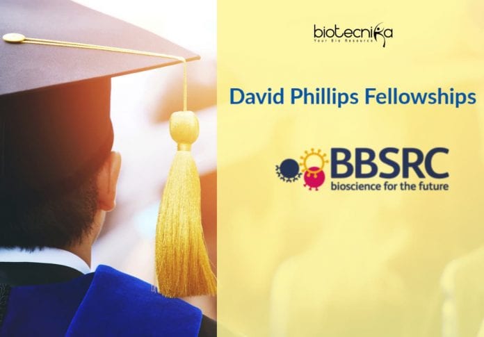David Phillips Fellowship (DPF)