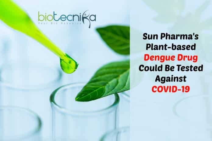 Dengue drug to be tested against COVID-19 