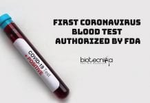 First Coronavirus Blood Test Authorized By FDA First Coronavirus Blood Test Authorized By FDA