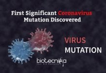 First Significant Coronavirus Mutation Discovered By Scientists First Coronavirus Mutation Discovered