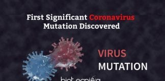First Coronavirus Mutation Discovered