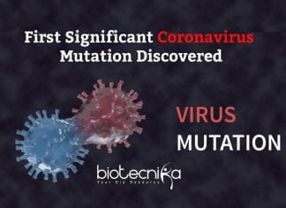 First Significant Coronavirus Mutation Discovered By Scientists First Coronavirus Mutation Discovered