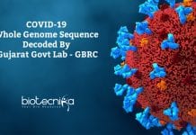 COVID-19 Whole Genome Sequence Decoded By Gujarat Govt Lab GBRC Decodes Genome Sequence Of Covid-19 Virus