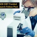 ICGEB DBT Funded Research Fellow Post – Translational Bioinformatics Group ICGEB Research Post