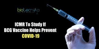 ICMR to study BCG vaccine