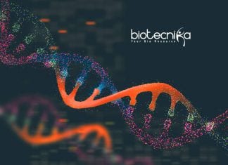 ICRISAT Genome Biology