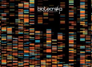 ICRISAT Project Associate Statistical Genomics Recruitment ICRISAT Project Associate