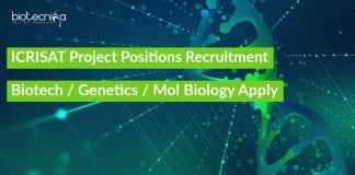 ICRISAT Project Positions Recruitment