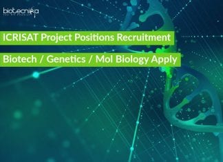 ICRISAT Project Positions Recruitment