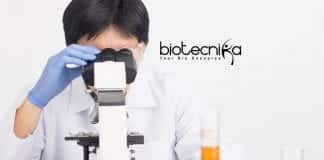 IISER Bhopal Recruitment