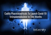 Cadila’s Immunomodulator For Treatment Of COVID-19 To Be Out In Two Months Immunomodulator to treat Covid-19