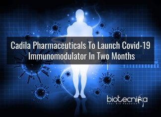 Cadila’s Immunomodulator For Treatment Of COVID-19 To Be Out In Two Months Immunomodulator to treat Covid-19