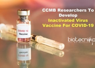 CCMB Researchers Set To Develop Inactivated Virus Vaccine For Novel Coronavirus Inactivated Covid19 Vaccine By CCMB