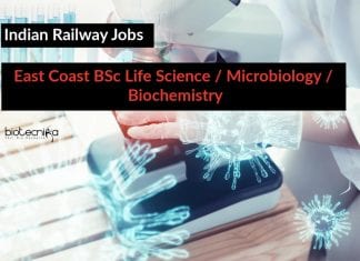 Indian Railway Jobs