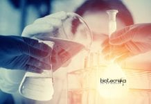 MSD Regulatory Affairs Job
