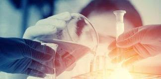 MSD Regulatory Affairs Job