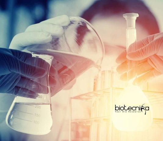 MSD Regulatory Affairs Job