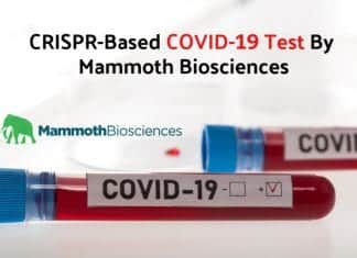 CRISPR-Based COVID-19 Test : Mammoth Biosciences Gets Validation Mammoth Biosciences COVID19 test