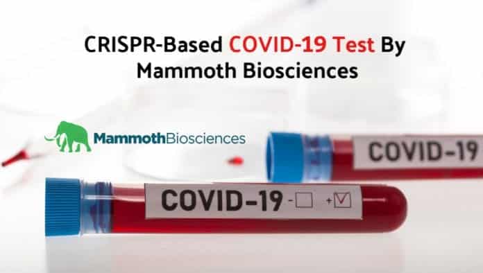 Mammoth Biosciences COVID19 test