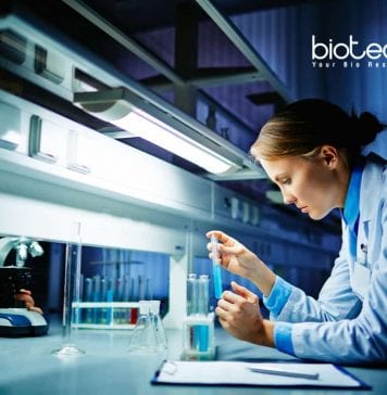 Merck Scientific Content Writer