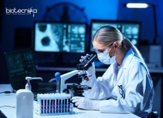 Merck Specialist Job Opening