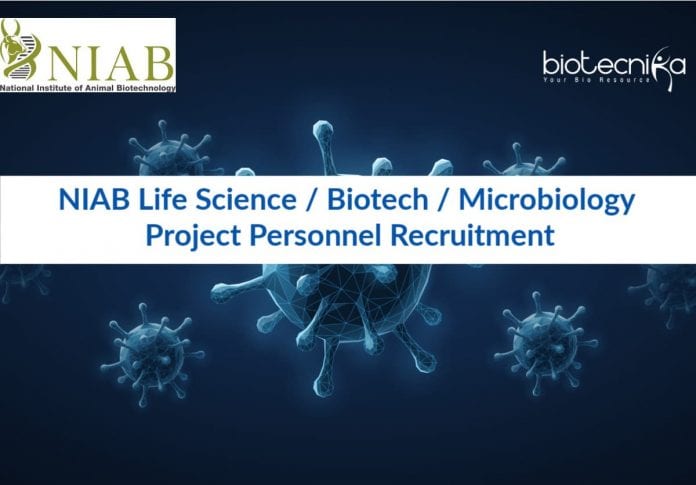 NIAB Vacancies Latest