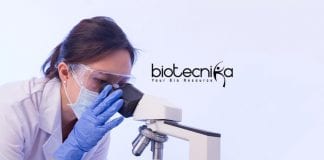 Novartis CDM Job Opening