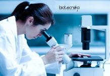 Novartis Systems Operation Job Vacancy – Life Sciences Apply Novartis Systems Operation Job