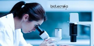 Novartis Systems Operation Job