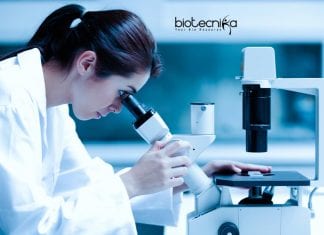 Novartis Systems Operation Job Vacancy – Life Sciences Apply Novartis Systems Operation Job
