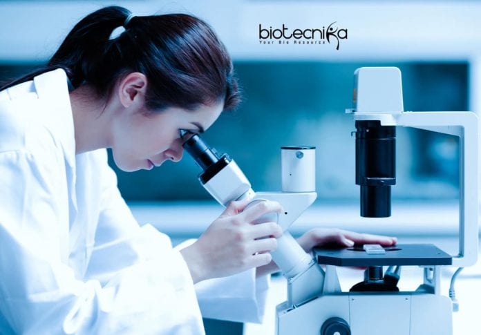Novartis Systems Operation Job