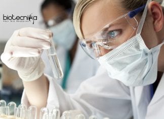 Novartis Regulatory Operations Job Opening For Life Science Novartis Vacancies