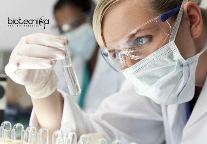 Novartis Vacancies